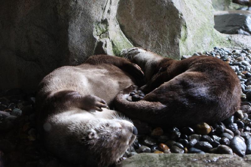 2012-06-16 11:52:09 ** Aquarium, Seattle ** 