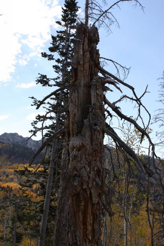 2010-10-02 14:49:18 ** Big Cottonwood Canyon, Utah ** 