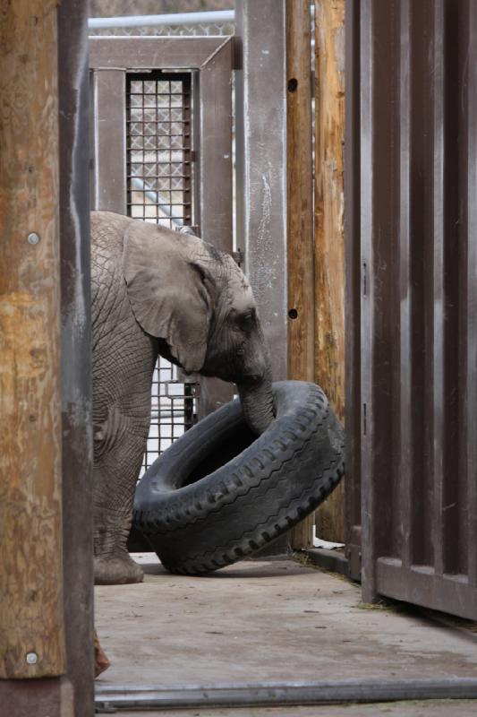 2012-03-25 13:58:29 ** Utah, Zoo ** 