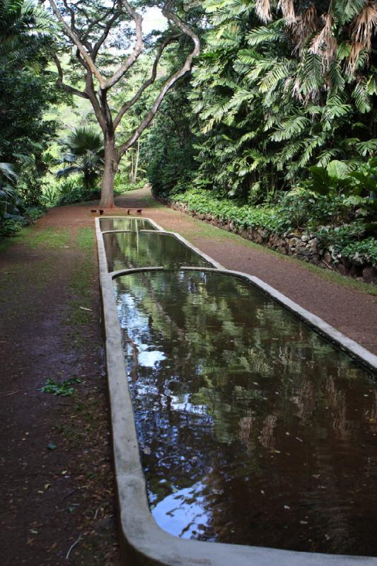 2011-11-27 10:20:32 ** Botanischer Garten, Hawaiʻi, Kauaʻi ** 