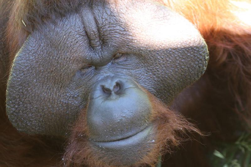 2011-07-15 14:10:47 ** Utah, Zoo ** 