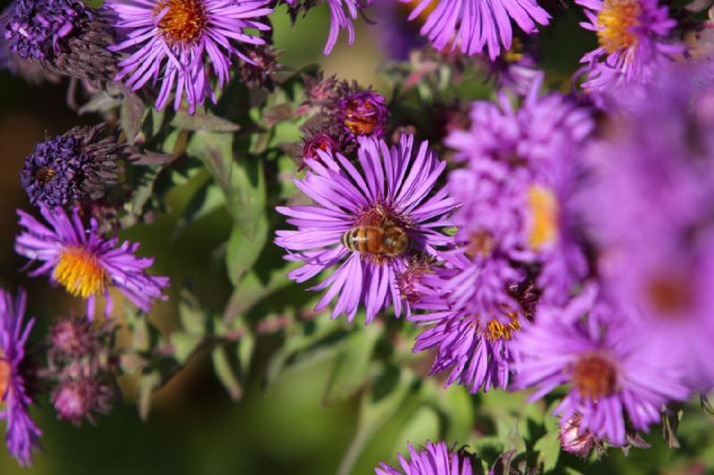 2012-09-29 17:26:50 ** 