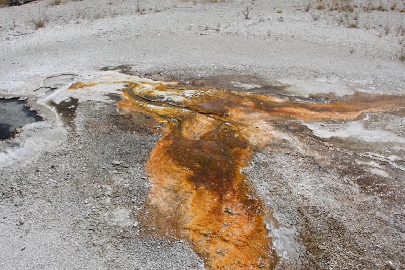 2008-08-15 12:07:11 ** Yellowstone National Park ** Where the water flows out of the geysers are colors like this.