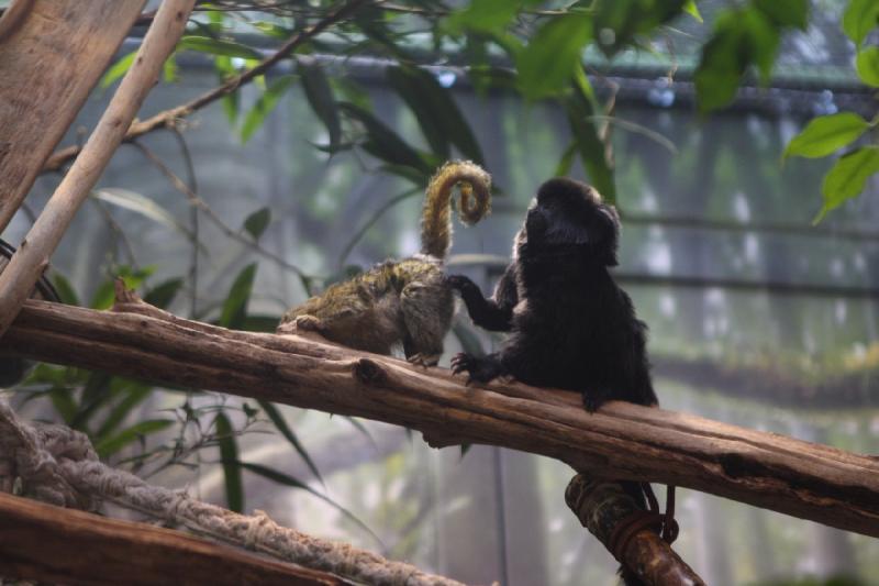 2014-03-12 15:35:46 ** Chicago, Illinois, Shedd Aquarium ** 