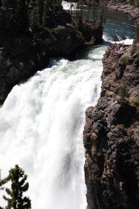 2008-08-16 12:39:02 ** Yellowstone National Park ** 