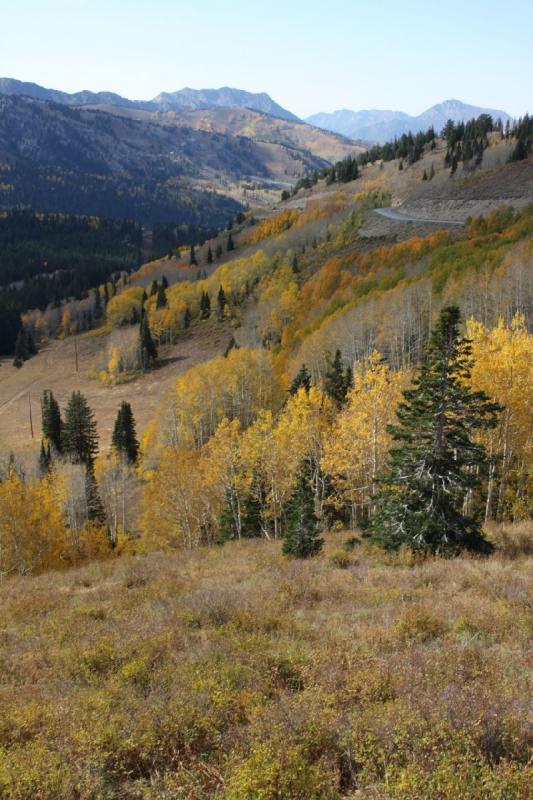 2010-10-02 14:57:48 ** Big Cottonwood Canyon, Utah ** 