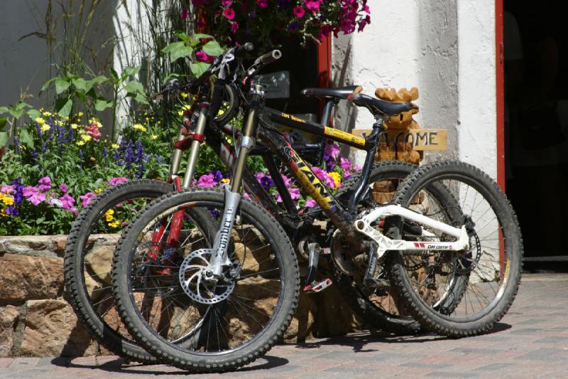 2006-07-22 12:03:10 ** Vail ** Mountain bikes for serious use. 2006-07-22 12:03:10 ** Vail ** Mountain bikes for serious use.