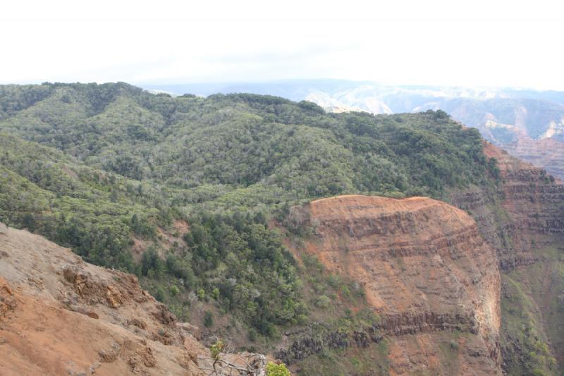 2011-11-25 16:04:39 ** Hawaiʻi, Kauaʻi ** 