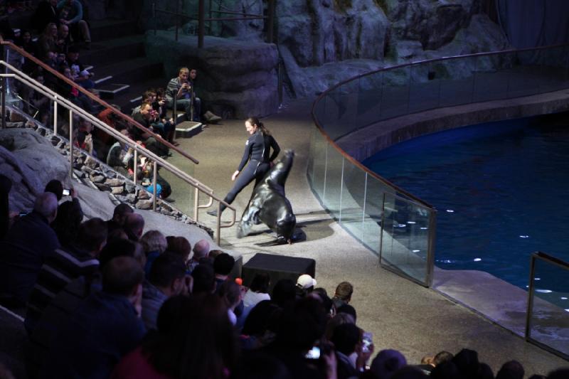 2014-03-12 12:42:09 ** Chicago, Illinois, Shedd Aquarium ** 