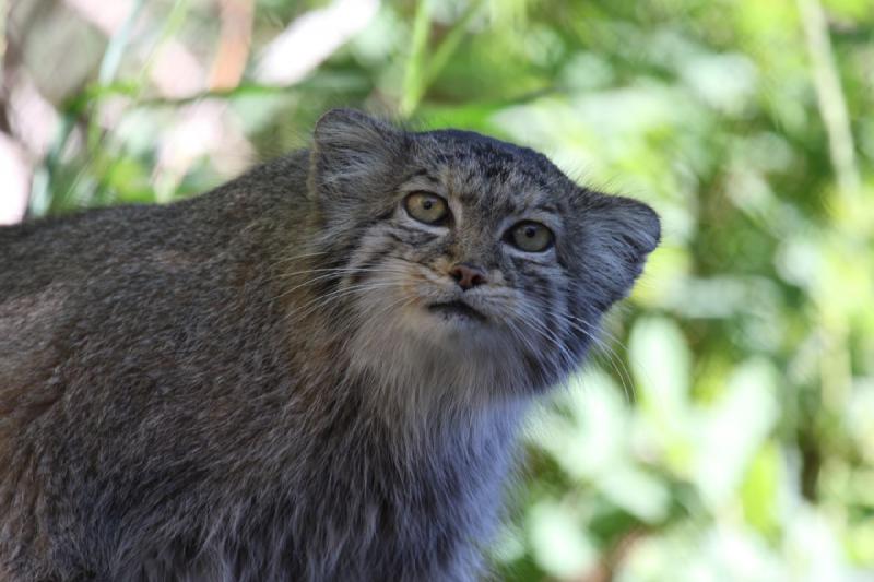 2011-07-16 08:13:14 ** Utah, Zoo ** 