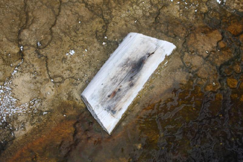 2008-08-15 11:59:55 ** Yellowstone Nationalpark ** Ein Stück Holz im Wasser.