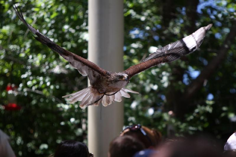 2011-07-15 12:59:30 ** Utah, Zoo ** 