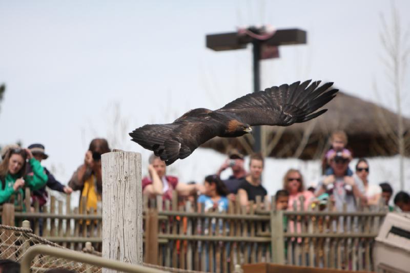 2011-05-07 11:18:33 ** Utah, Zoo ** 