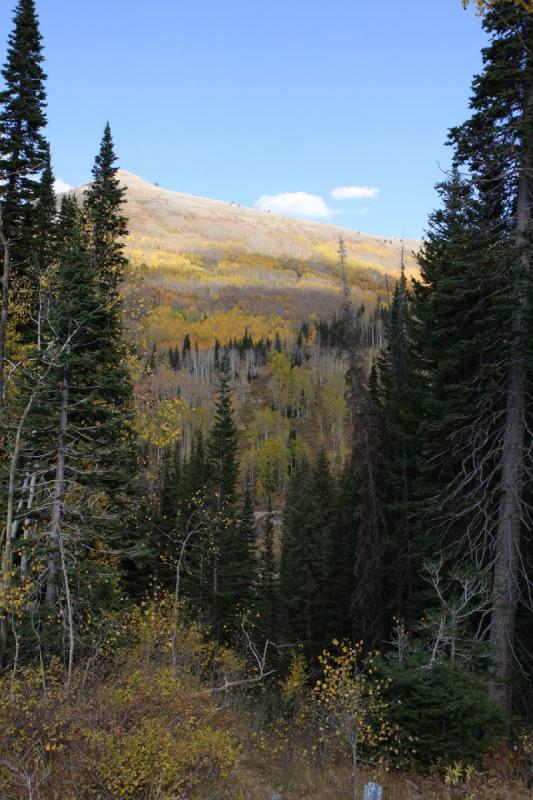 2010-10-02 14:47:30 ** Big Cottonwood Canyon, Utah ** 