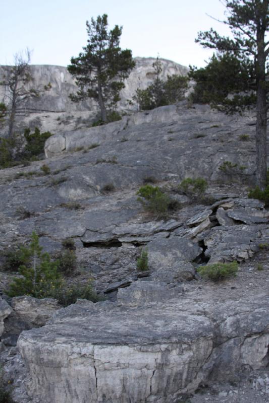 2008-08-16 20:03:50 ** Yellowstone National Park ** 