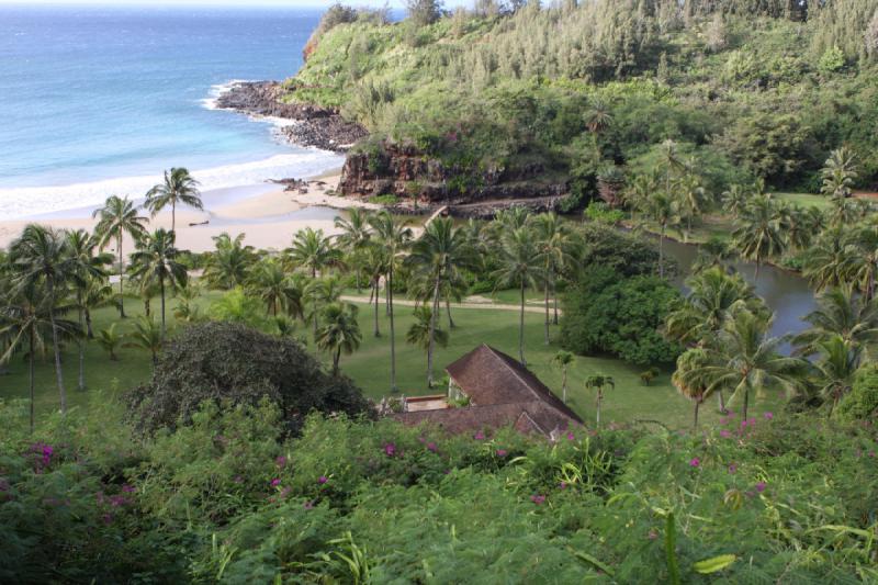 2011-11-27 09:19:14 ** Botanischer Garten, Hawaiʻi, Kauaʻi ** 