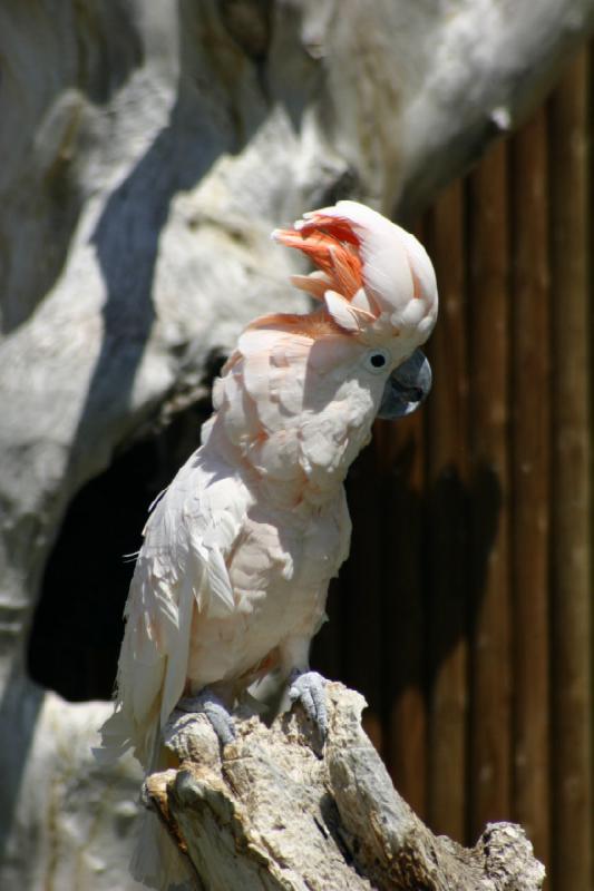 2008-05-04 13:02:52 ** Utah, Zoo ** 