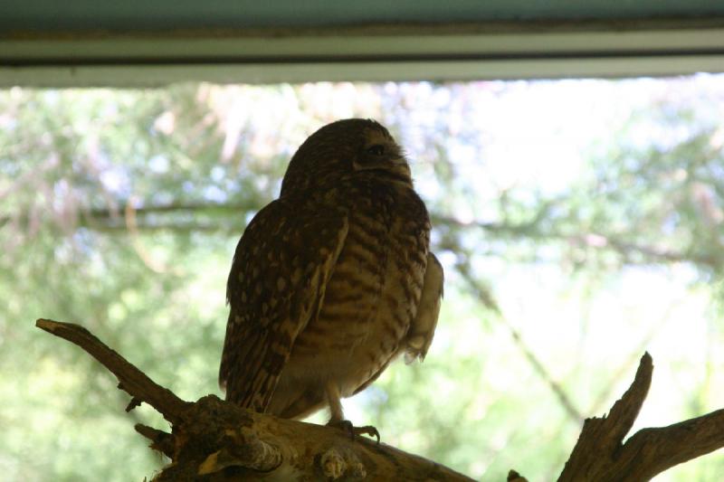 2007-06-18 12:34:16 ** Utah, Zoo ** Kaninchenkauz.