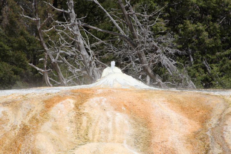 2009-08-04 10:54:13 ** Yellowstone Nationalpark ** 