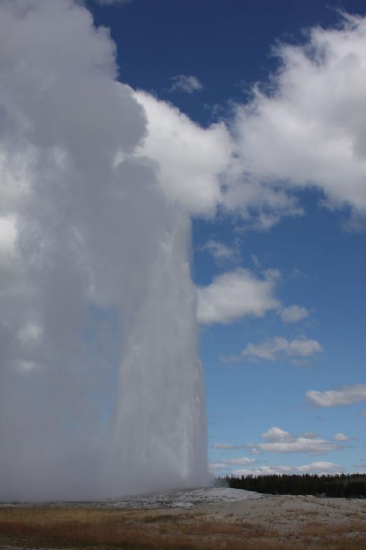 2008-08-15 11:40:03 ** Yellowstone Nationalpark ** Old Faithful.