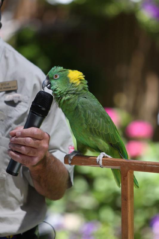 2011-07-15 13:04:53 ** Utah, Zoo ** 