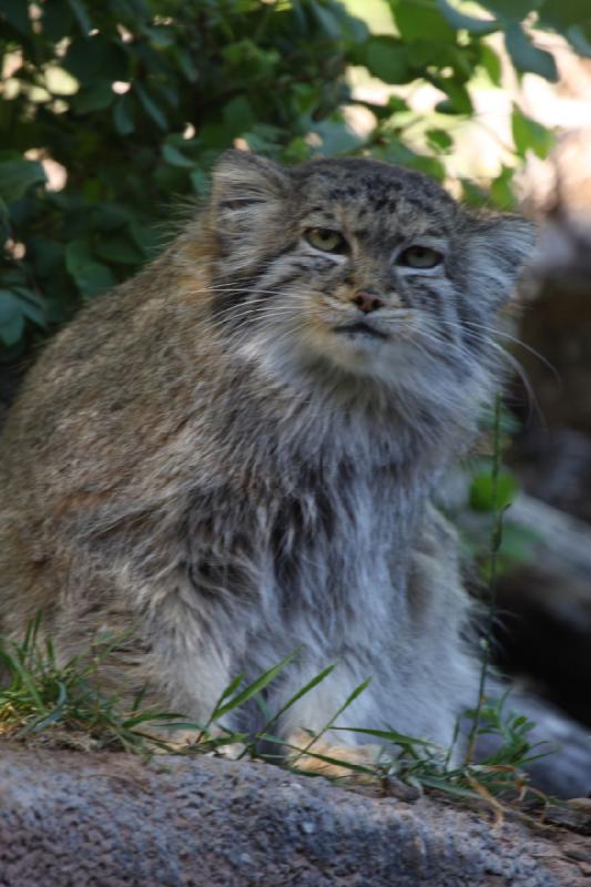 2011-07-16 07:59:40 ** Utah, Zoo ** 