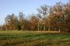 Schloßpark Sanssouci im Herbst.