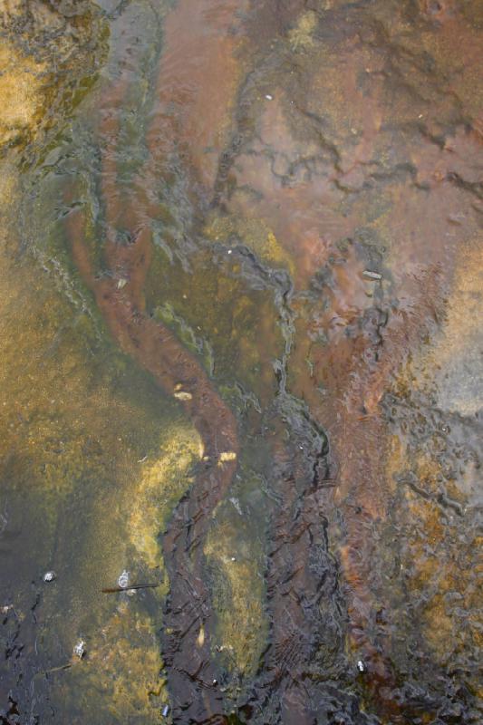 2008-08-15 12:01:23 ** Yellowstone National Park ** Colors inside the water.