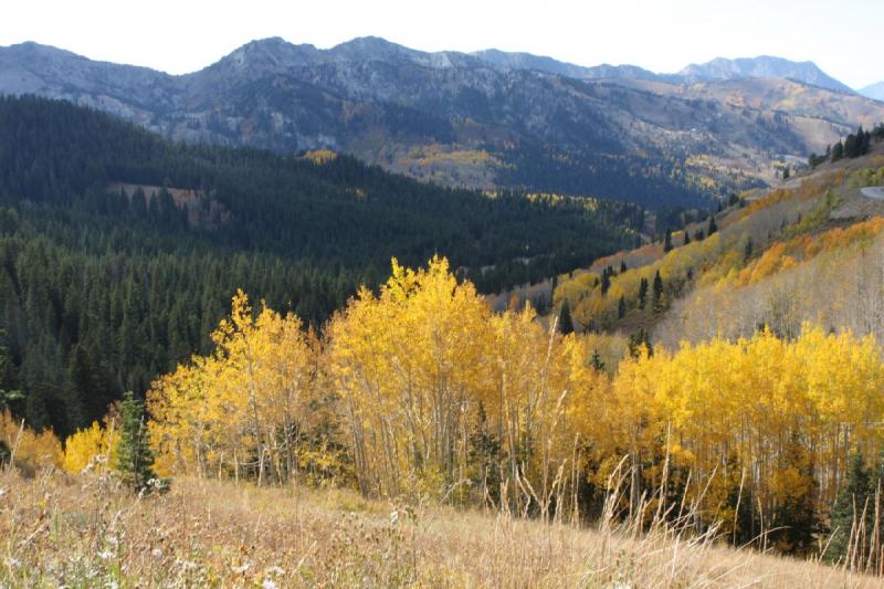 2010-10-02 14:56:52 ** Big Cottonwood Canyon, Utah ** 