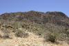 Besucher im "Tucson Mountain Park".