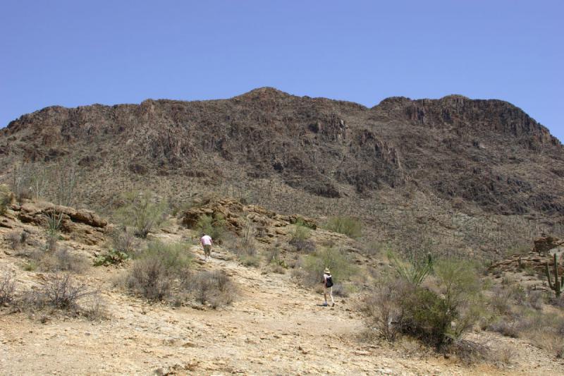 2006-06-17 11:14:18 ** Kaktus, Tucson ** Besucher im 'Tucson Mountain Park'.