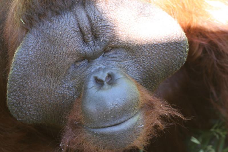 2011-07-15 14:10:47 ** Utah, Zoo ** 