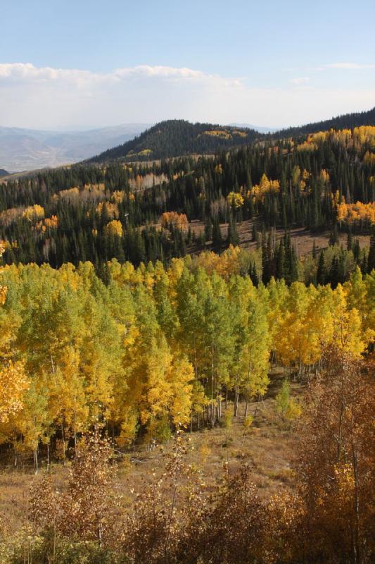 2010-10-02 15:18:18 ** Big Cottonwood Canyon, Utah ** 