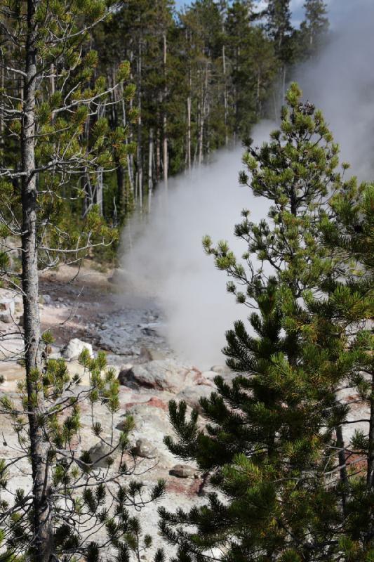 2008-08-15 16:24:11 ** Yellowstone National Park ** 