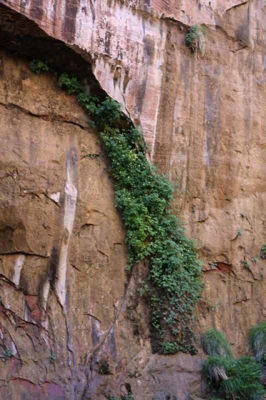 2011-05-29 09:36:59 ** Utah, Zion Nationalpark ** 