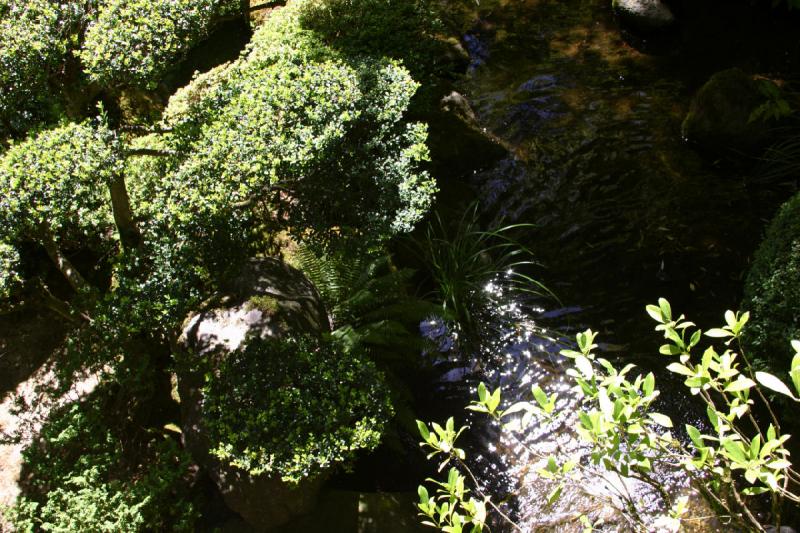 2007-09-02 13:35:24 ** Portland ** Wasser, Steine und Grün, ein japanischer Garten.