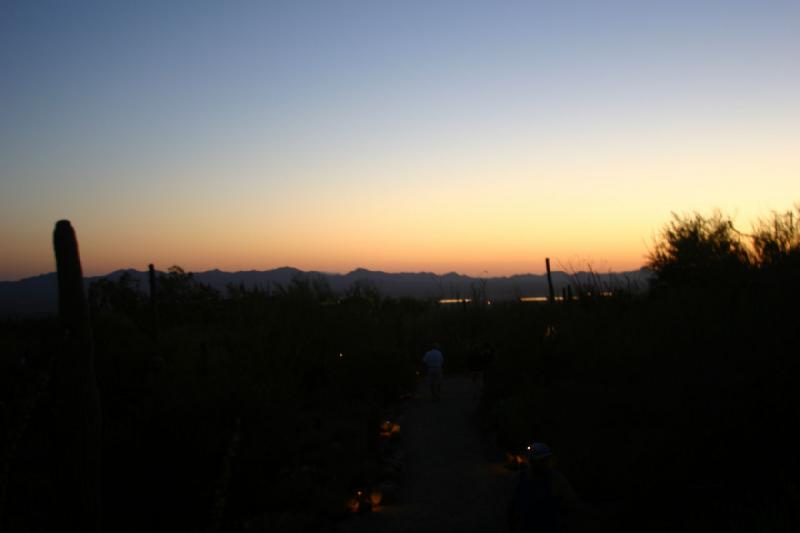 2006-06-17 19:59:30 ** Botanischer Garten, Kaktus, Tucson ** Sonnenuntergang im Park.