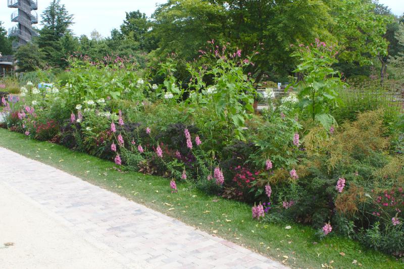 2019-07-26 12:55:40 ** Bad Zwischenahn, Botanical Garden, Germany ** 