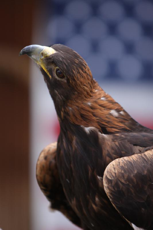 2011-05-07 11:28:10 ** Utah, Zoo ** 