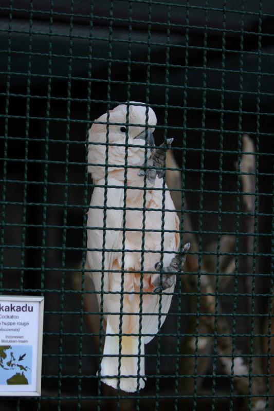 2010-04-13 17:27:57 ** Germany, Walsrode, Zoo ** 