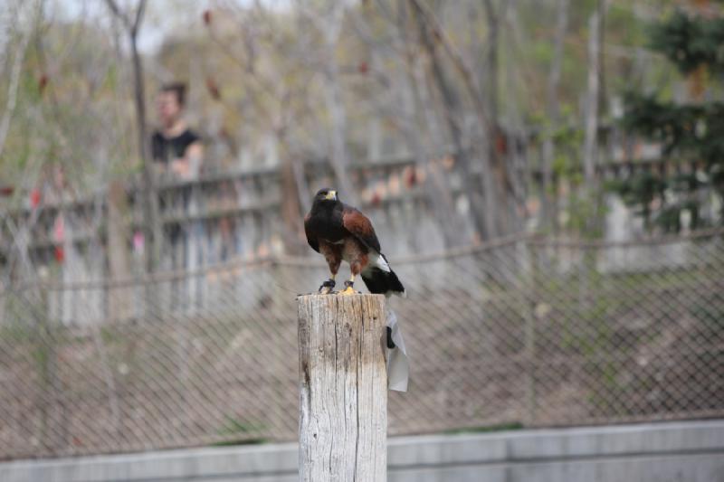 2011-05-07 11:04:25 ** Utah, Zoo ** 