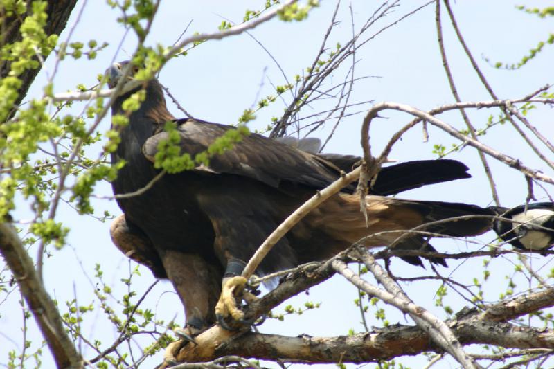 2008-05-04 13:56:40 ** Utah, Zoo ** 