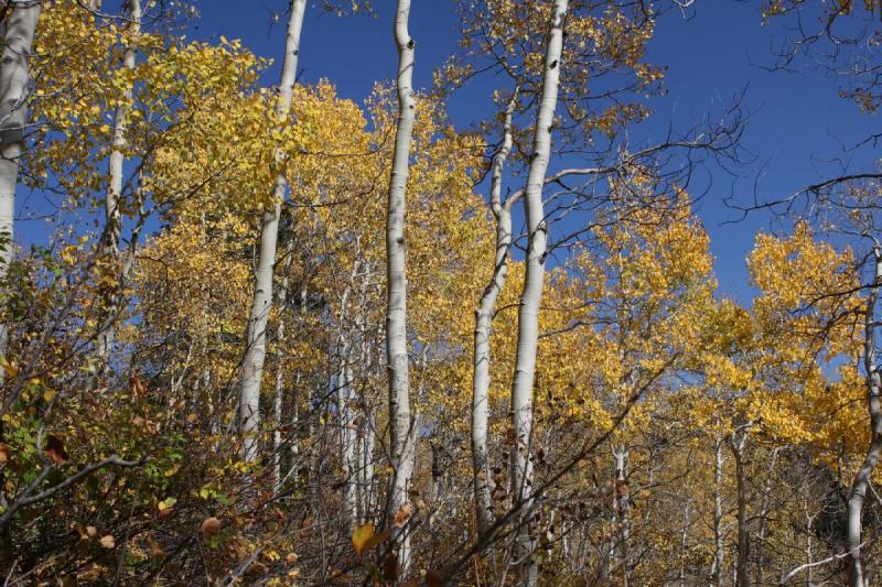 2010-10-01 14:09:54 ** Big Cottonwood Canyon, Utah ** 