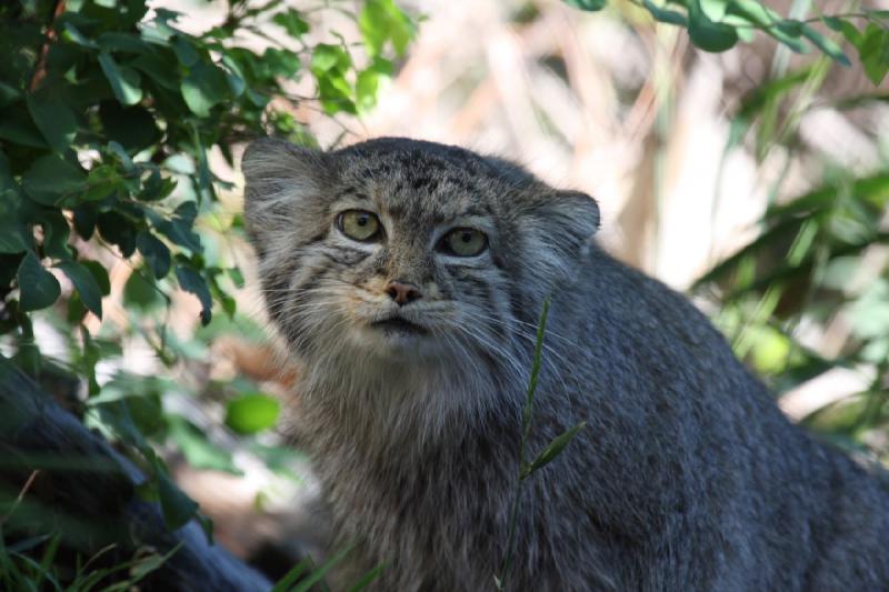2011-07-16 08:13:41 ** Utah, Zoo ** 