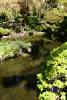 Teich im Japanischen Garten.