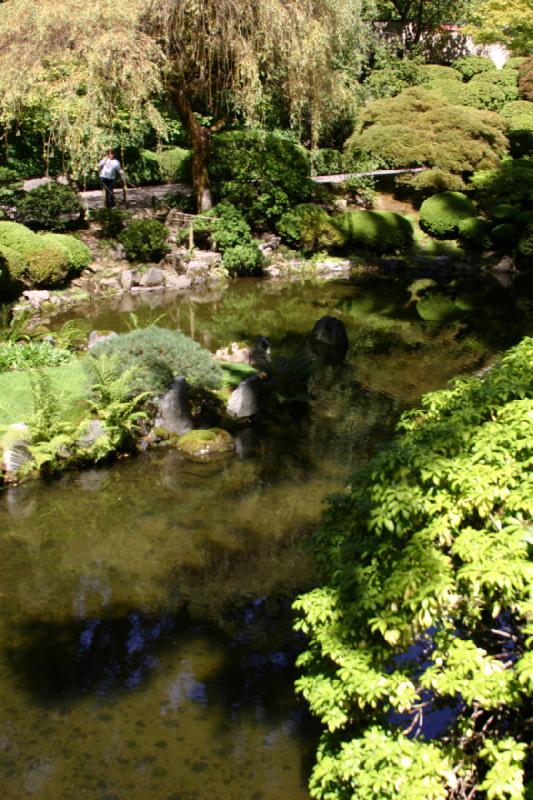 2007-09-02 13:35:08 ** Portland ** Teich im Japanischen Garten.