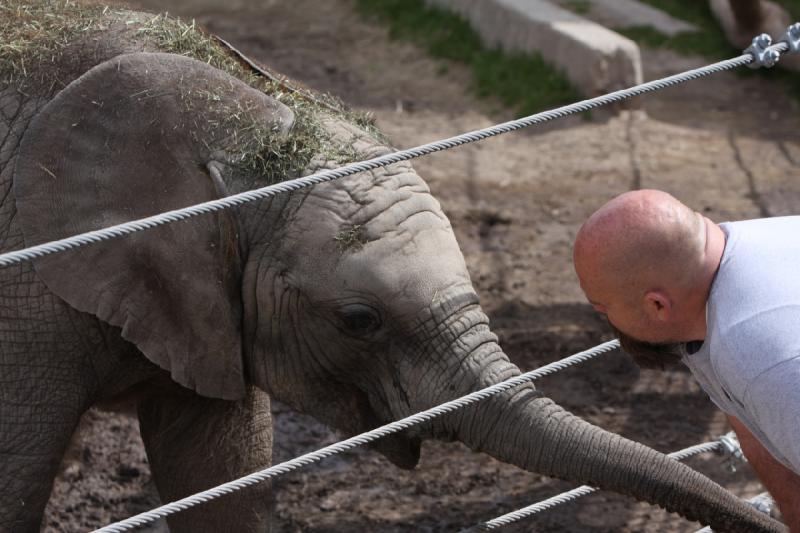 2011-05-07 10:30:19 ** Utah, Zoo ** 