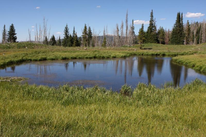 2010-08-21 15:25:49 ** Uinta Mountains ** 