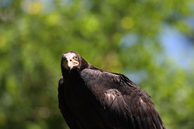 2011-07-15 15:12:59 ** Utah, Zoo ** 