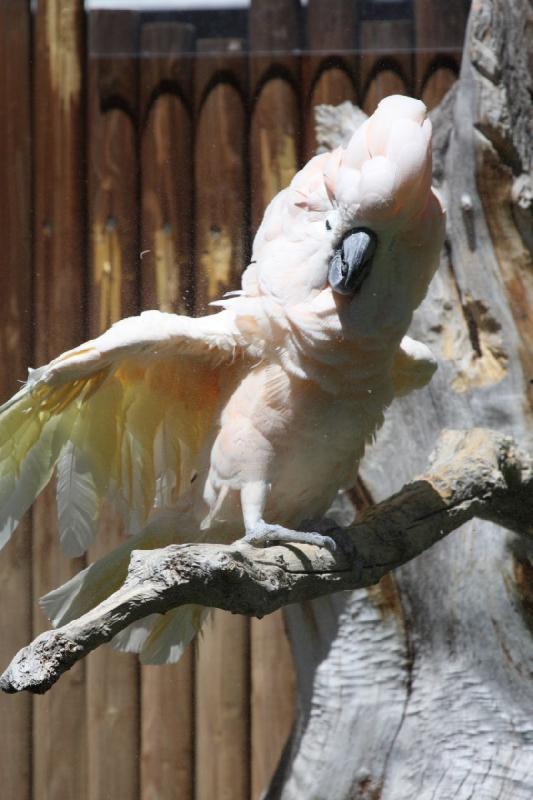 2011-07-15 14:47:48 ** Utah, Zoo ** 